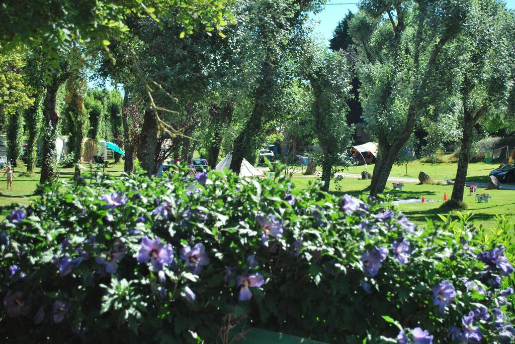 Camping Les Tournesols Sillé-le-Guillaume Exterior foto