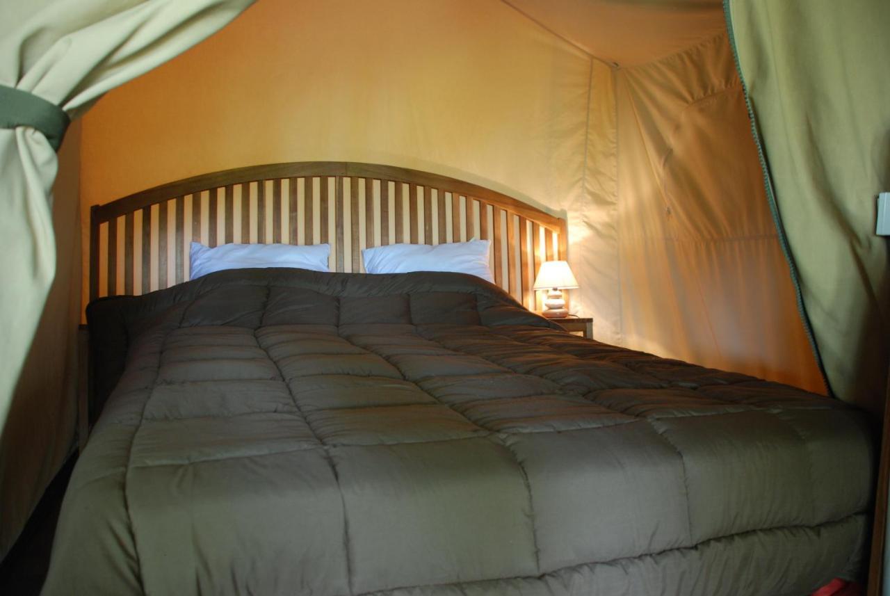 Camping Les Tournesols Sillé-le-Guillaume Exterior foto